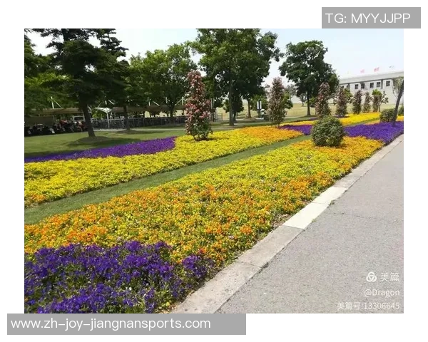 足球场占地约5900平方米的奥秘与价值探讨